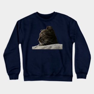 Sleeping Tabby Crewneck Sweatshirt